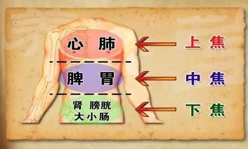 a94b565049ab4586e9f30f172b780649_640_wx_fmt=jpeg&tp=webp&wxfrom=5&wx_lazy=1&wx_co=1.png
