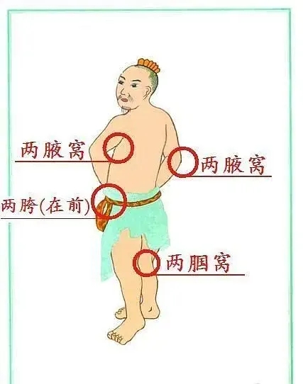 48b0fbcb32c98972429462f7575f56a0_640_wx_fmt=jpeg&tp=webp&wxfrom=5&wx_lazy=1&wx_co=1.png
