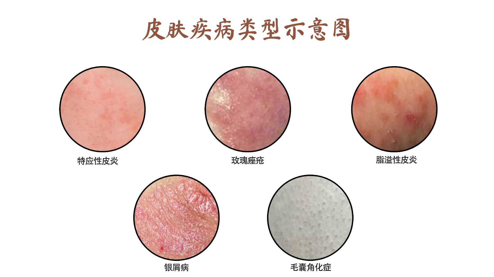 新闻资讯1.jpg